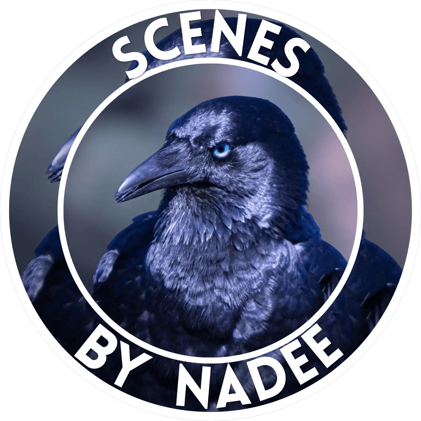 Scenes By Nadee